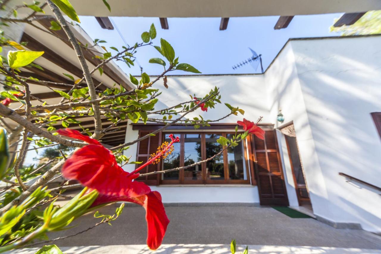 Villa Sa Rota De L'avi - Colombas