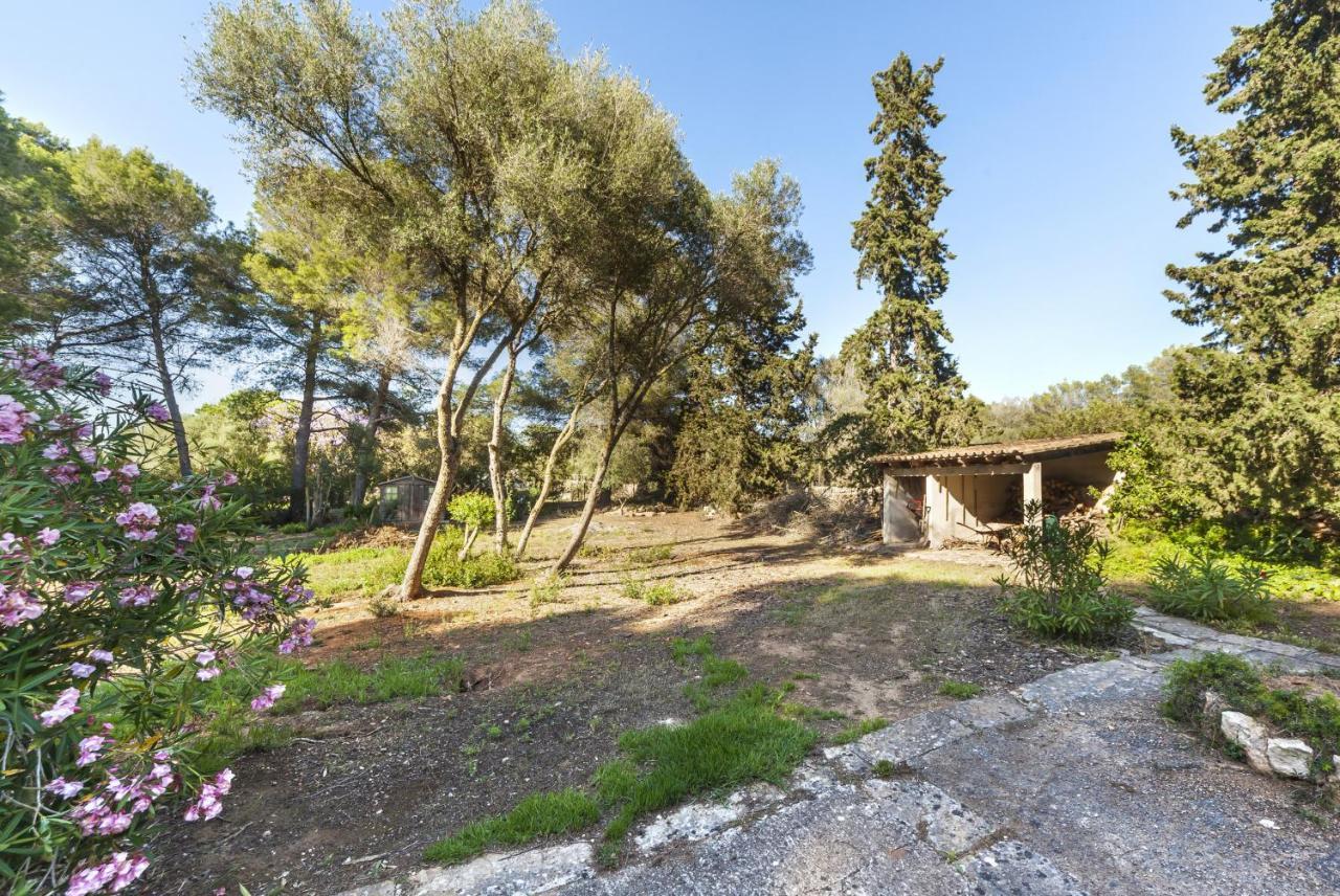 Sa Rota De L'avi - Colombas Villa *